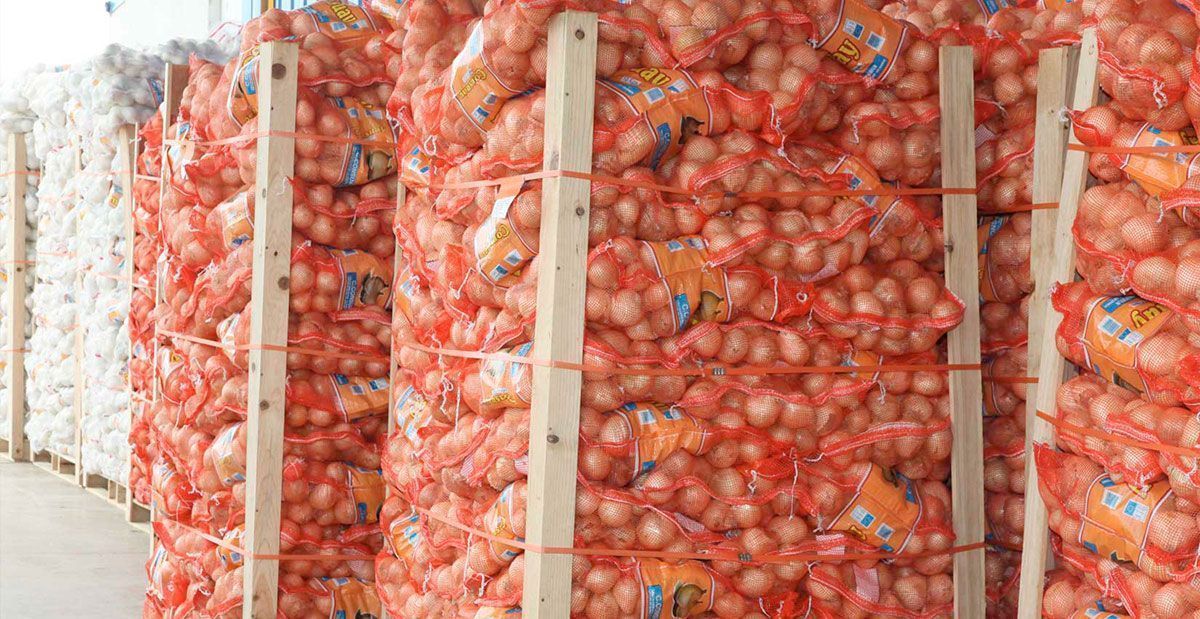 productores de cebollas