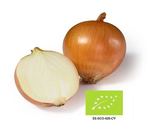 grano-ecologica-4 grano-ecologica-4